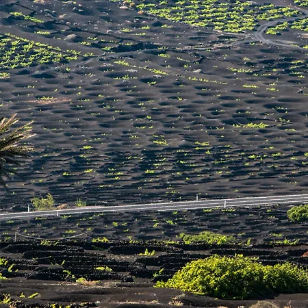 Lejlighed Home2book Sunny Dream Puerto Del Carmen, Pool