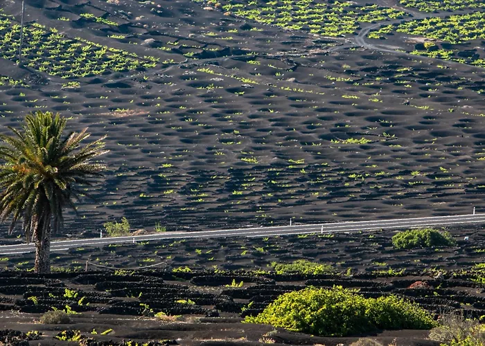 Apartment Home2book Sunny Dream Puerto Del Carmen, Pool